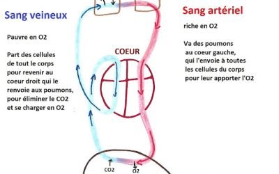 Ostéopathe femme enceinte La Balme de Sillingy